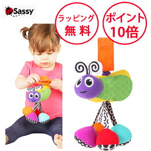 TbV[ ԂԂoO Wb^[ oO p[v xr[J[  g Ԃ ߋ xr[J[gC n[to[Xf[ av[g 1 oYj j̎q ̎q Sassy TYSA80167