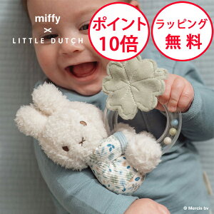 ~btB[ Og bL[[uX g_b` oYj Ԃ xr[  n[to[Xf[ j̎q ̎q 炪 g KK ʂ miffy x Little Dutch TYLITNIJN4