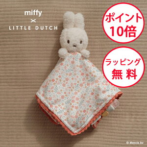 ~btB[ hD[hD[ bL[ubT g_b` oYj Ԃ xr[  n[to[Xf[ j̎q ̎q ʂ t@[XggC miffy x Little Dutch TYLITNIJN364