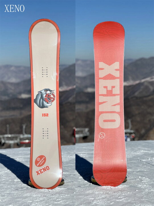 楽天市場】24-25 GT snowboards ジーティー スノーボード XENO ゼノ こ 