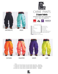 26-27 mountainrockstar MTN ROCK STAR SNOW WEAR �yCARVE PANTS �z�J�[�u �p���c �\��̔��i 11�����ח\�� ship1