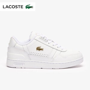 RXeiLACOSTEj Xj[J[ shoes fB[X T-CLIPy124 1 SFA 216 z yԕiOUTLETzship1