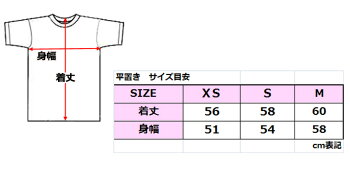 VOLCOMボルコムレディースTシャツ【TakeATripBasicTee】ヴォルコム【送料無料】【あす楽_年中無休】【メール便可】