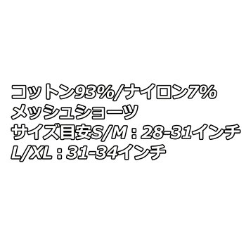 volcomボルコム短パンVMeshShortPantメンズJapanA10119JAship1
