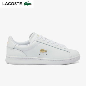 ���R�X�e�iLACOSTE�j �X�j�[�J�[ shoes ���f�B�[�X CARNABY SET�y224 1 SFA 216 �z 48SFA0012�y�ԕi���OUTLET�zship1