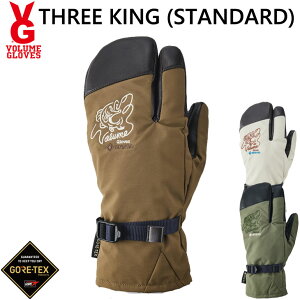 23-24 VOLUME GLOVES O[u ~g THREE KING STANDARD MODEL GORE-TEX SAebNX ship1yԕiOUTLETz