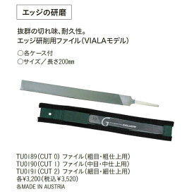 GALLIUM WAX ガリウム ワックス メンテナンスエッジ研削用ファイル（VIALAモデル） 【TU0189/90/91】