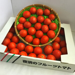 高知県産 夜須のフルーツトマト 2〜4Sサイズ (35〜58玉入り）1箱少々訳あり