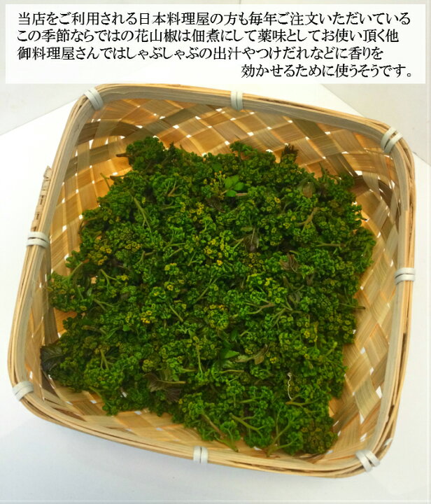 楽天市場 産地厳選 花山椒 約100g入 1パック 予約販売 4月以降 フレック フーズ 楽天市場 産地厳選 花山椒 約100g入 1パック 予約販売 4月以降 フレック フーズ