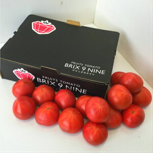 野菜 1kg トマトの人気商品 通販 価格比較 価格 Com