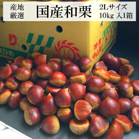 産地厳選”和栗”3～4Lサイズ10kg入り1箱
