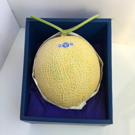 静岡県産 クラウンメロン 1玉 化粧箱入り 約1.5kg以上