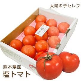 熊本県産 塩トマト 大きさおまかせ 1箱約1kg入