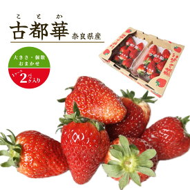 奈良県産 古都華 ことか イチゴ いちご 1ケース 2パック入り 大きさおまかせ ギフト お取り寄せ 贈答品
