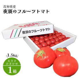 フルーツトマト ギフト 高糖度 高知県産 夜須 トマト とまと 甘い 1.5kg 1箱 大きさおまかせ 国産 贈り物 母の日