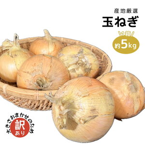 YnI ʂ˂ 傫܂̈ז󂠂 1 5kg