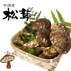 中国産 松茸 マツタケ まつたけ 1箱約400g入 3~6本 大きさサイズ形おまかせ
