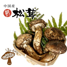 訳あり 中国産 松茸 マツタケ まつたけ 1箱約400g入 3~6本 大きさサイズ形おまかせ