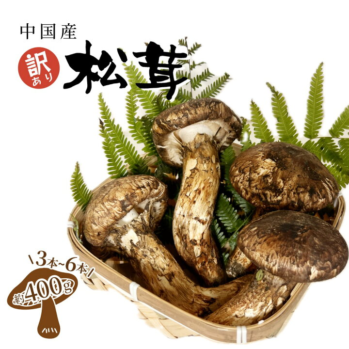 楽天市場】訳あり 中国産 松茸 マツタケ まつたけ 1箱約400g入 3~6本 