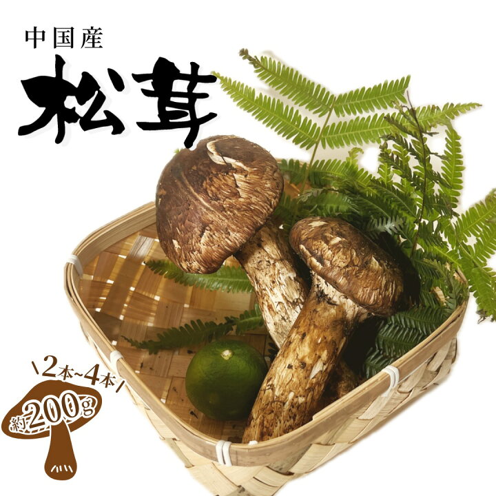 中国産 松茸 約2kg まつたけ マツタケ。 