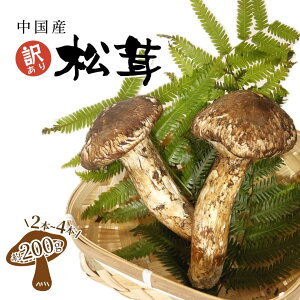 i摜