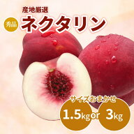 桃 もも ネクタリン 産地厳選 1箱 約1.5kg または3kg モモ 果物 フルーツ 敬老の日