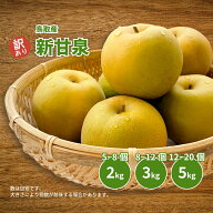 梨 新甘泉 しんかんせん 訳あり 鳥取産 1箱約2kg または 3kg または 5kg サイズおまかせ 鳥取県産 新甘泉…