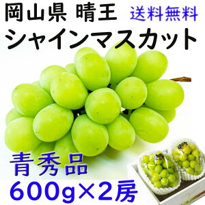  VC}XJbg yGz 600g×2[   RY Ԃǂ  Mtg v[g ̂ lΉ wOK   JA _i