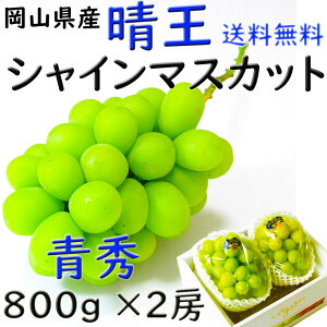  VC}XJbg yGz 800g×2[   RY Ԃǂ [ 嗱  Mtg v[g ̂ lΉ wOK   蕨 JA _i