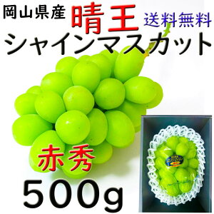  VC}XJbg yԏGz 500g   RY Ԃǂ Mtg v[g ̂ lΉ wOK   蕨 JA _i