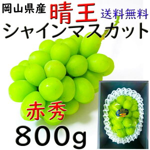  VC}XJbg yԏGz 800g   RY Ԃǂ  Mtg v[g ̂ lΉ wOK   蕨 JA _i