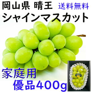  VC}XJbg yDiz 400g   ƒp RY Ԃǂ Mtg v[g ̂ lΉ wOK   蕨 JA _i