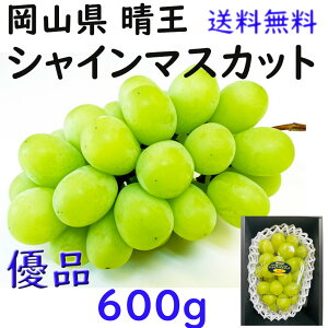  VC}XJbg yDiz 600g   ƒp RY Ԃǂ  Mtg v[g ̂ lΉ wOK   蕨 JA _i