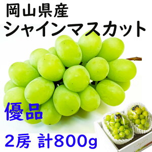  VC}XJbg yDi ƒpz 2[ v800g   RY Ԃǂ  Mtg v[g ̂ lΉ wOK   蕨 JA _i