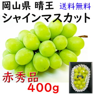  VC}XJbg yԏGz 400g   RY Ԃǂ Mtg v[g ̂ lΉ wOK   蕨 JA _i