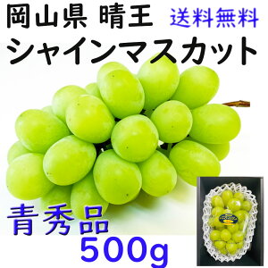  VC}XJbg yGz 500g    RY Ԃǂ Mtg v[g ̂ lΉ wOK   蕨 JA _i