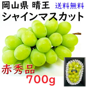  VC}XJbg yԏGz 700g   RY Ԃǂ  Mtg v[g ̂ lΉ wOK   蕨 JA _i