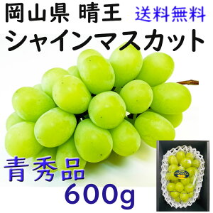  VC}XJbg yGz 600g   RY Ԃǂ  Mtg v[g ̂ lΉ wOK   蕨 JA _i