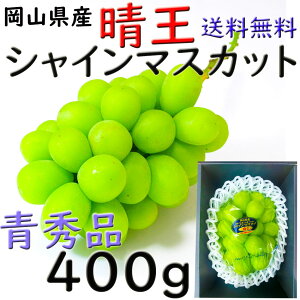 VC}XJbg yGz 400g    RY Ԃǂ Mtg v[g ̂ lΉ wOK   蕨 JA _i