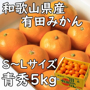 �݂��� �L�c�݂��� 5kg �G�iS�`L�T�C�Y �a�̎R���Y �������� �M�t�g ���l �̂� �v���[���g �Â� ���t�w��\ �w���OK