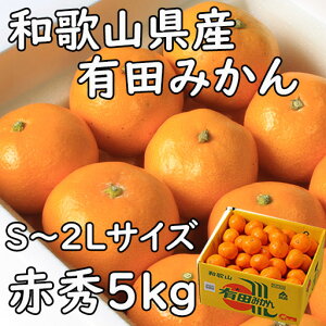 �݂��� �L�c�݂��� 5kg �ԏG�iS�`L�T�C�Y �a�̎R���Y �������� �M�t�g ���l �̂� �v���[���g �Â� ���t�w��\ �w���OK