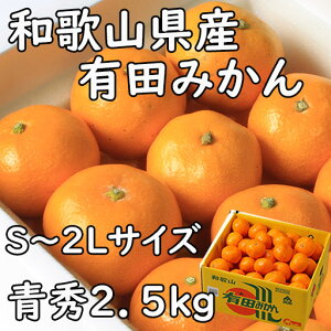 �݂��� �L�c�݂��� 2.5kg S~2L�T�C�Y �G�i �����p �a�̎R���Y �������� �M�t�g ���l �̂� �v���[���g �Â� ���t�w��\ �w���OK