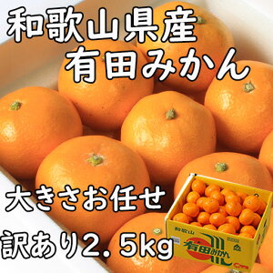 �󂠂� �݂��� �L�c�݂��� 2.5kg �T�C�Y���C�� �����p �a�̎R���Y �������� �M�t�g ���l �̂� �v���[���g �Â� ���t�w��\ �w���OK