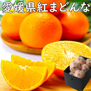 �g�܂ǂ�� �݂��� ���Ƌ� ���Ε� ���Q�� 1�A2kg 2L�`3L�T�C�Y �������� JA���Ђ� ���Z���T�[�I�� ��Ε� ���� �M�t�g ���l �v���[���g �w���OK