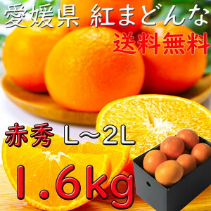 g܂ǂ ݂ ԏG Ε Q 1C5kg L`3LTCY  JAЂ ZT[I Ε  Mtg l v[g wOK