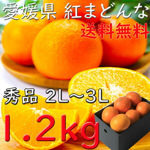 g܂ǂ ݂ Gi Ε Q 1A2kg 2L`3LTCY  JAЂ ZT[I Ε  Mtg l v[g wOK