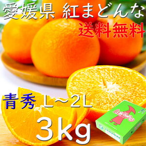 g܂ǂ ݂ G Ε Q 3kg L`2LTCY  JAЂ ZT[I Ε  Mtg l v[g wOK
