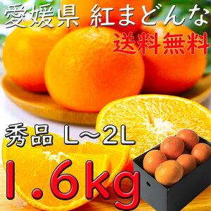 g܂ǂ ݂ Gi Ε Q 1A5kg M`4LTCY  twOK JAЂ ZT[I Ε  Mtg l v[g wOK