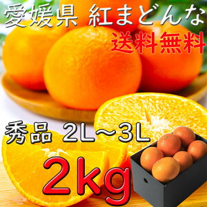 g܂ǂ ݂ Gi Ε Q 2kg 2L`4LTCY  twOK JAЂ ZT[I Ε  Mtg l v[g wOK