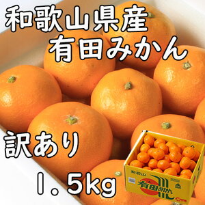 �󂠂� �݂��� �L�c�݂��� 1.5kg �T�C�Y���C�� �����p �a�̎R���Y �������� �M�t�g ���l �̂� �v���[���g �Â� ���t�w��\ �w���OK